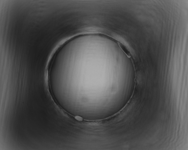 X0000099571472200805160716