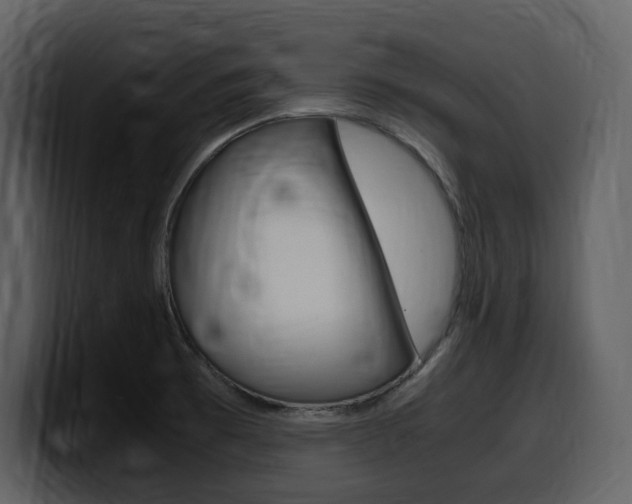 X0000099571473200805160716
