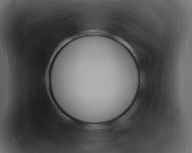 X0000099571474200805160716