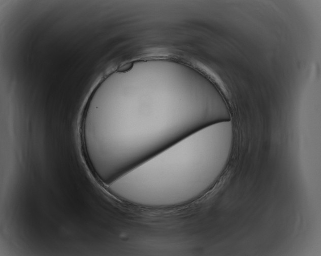 X0000099571475200805160716