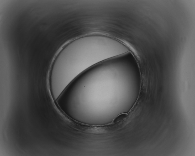 X0000099571476200805160716