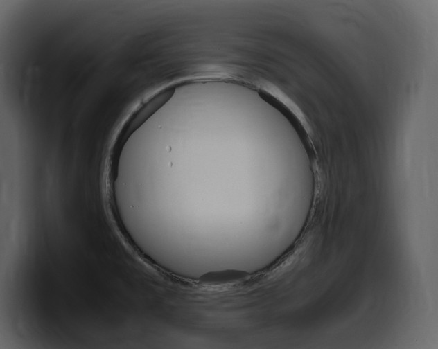 X0000099571477200805160716
