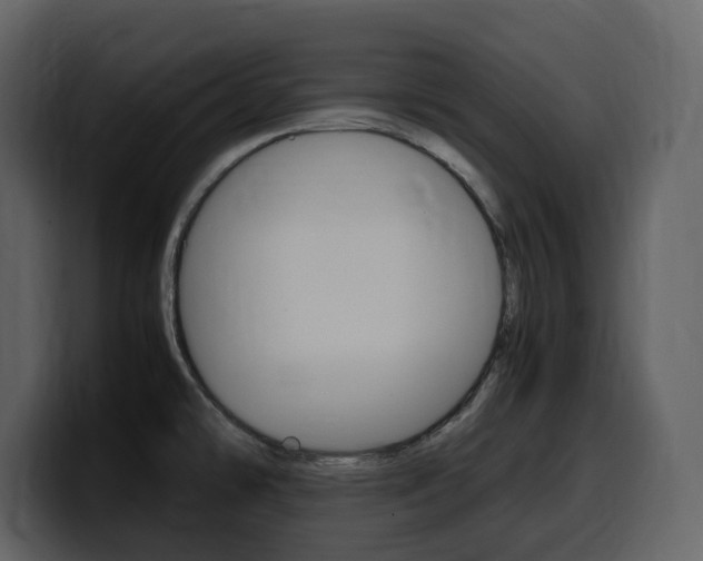 X0000099571478200805160716