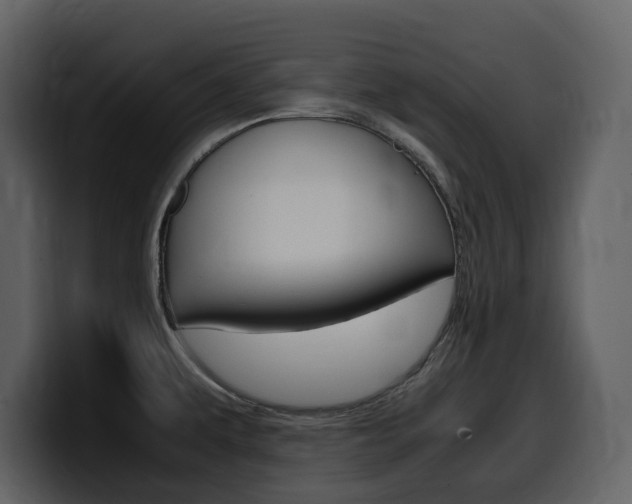 X0000099571479200805160716