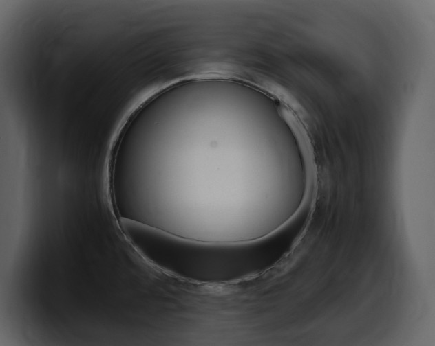X0000099571480200805160716