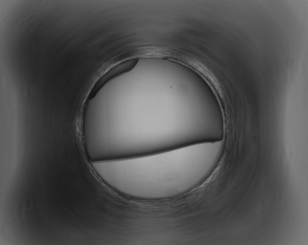 X0000099571481200805160716