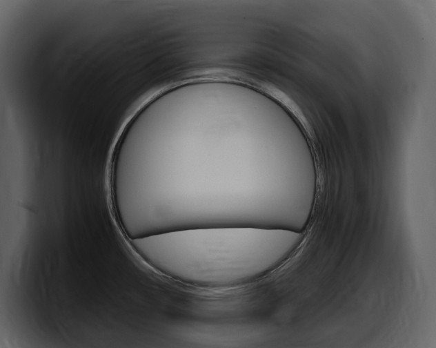 X0000099571482200805160716