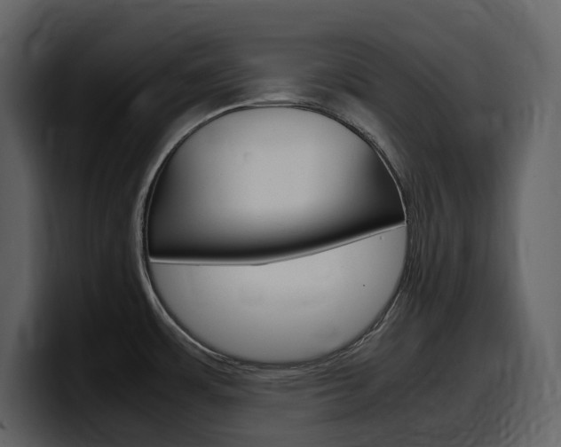 X0000099571483200805160716