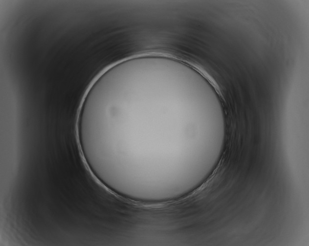 X0000099571484200805160716