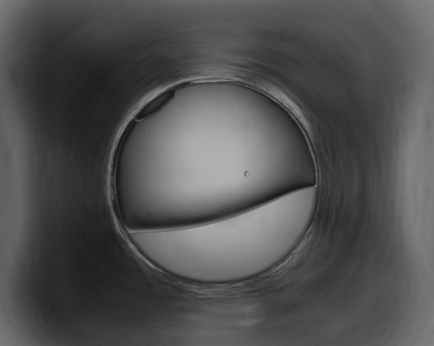 X0000099571485200805160716