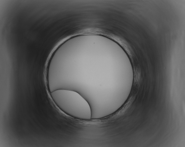 X0000099571486200805160716