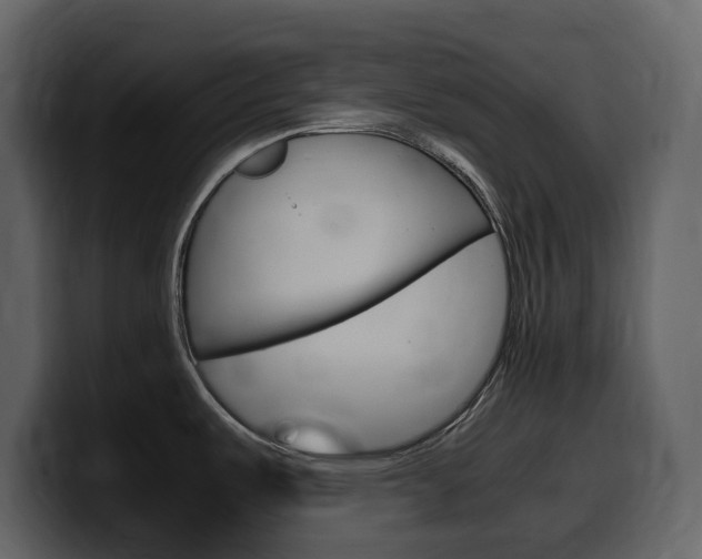 X0000099571487200805160716