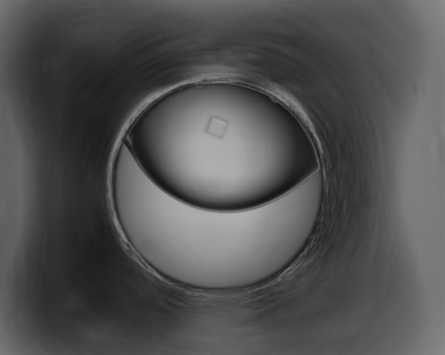 X0000099571488200805160716