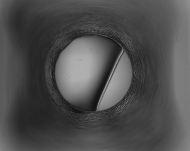 X0000099571489200805160715