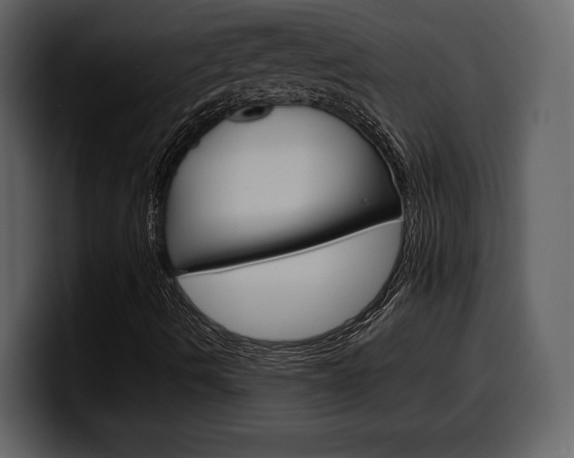X0000099571490200805160715