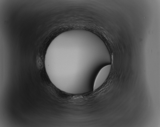 X0000099571491200805160715