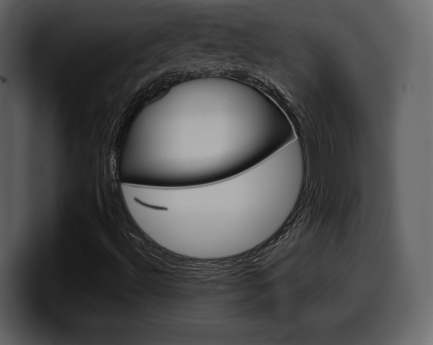 X0000099571492200805160715