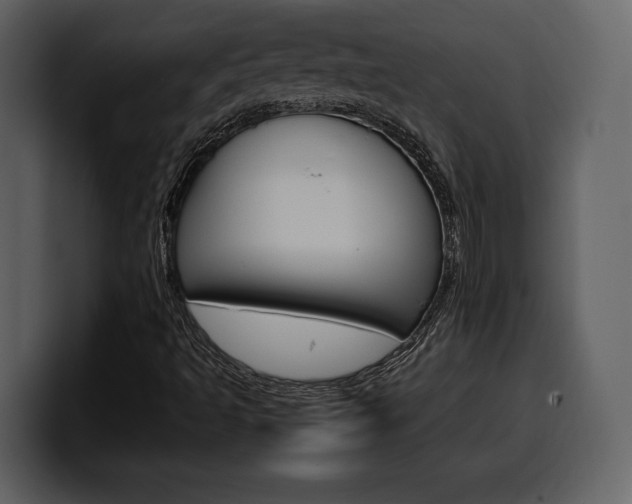 X0000099571493200805160715