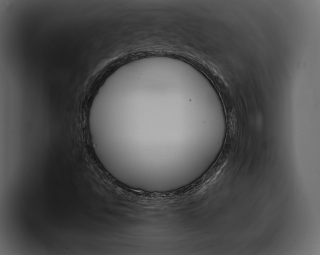 X0000099571494200805160715