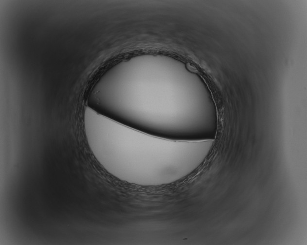 X0000099571495200805160715