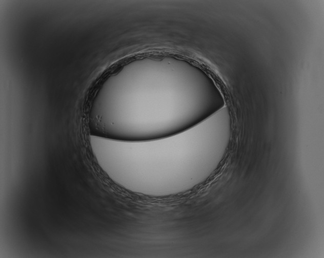 X0000099571496200805160715