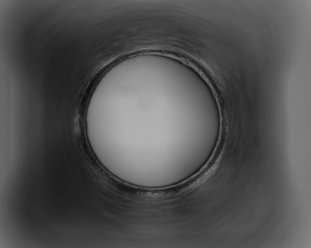 X0000099571497200805160715