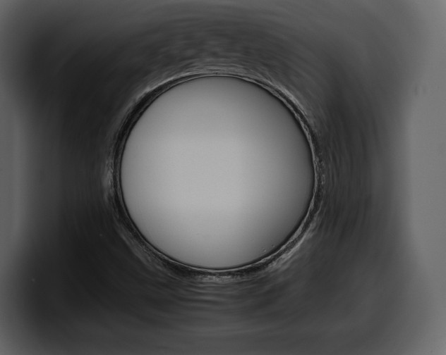 X0000099571499200805160715