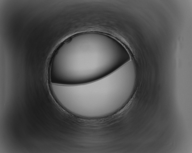 X0000099571500200805160715