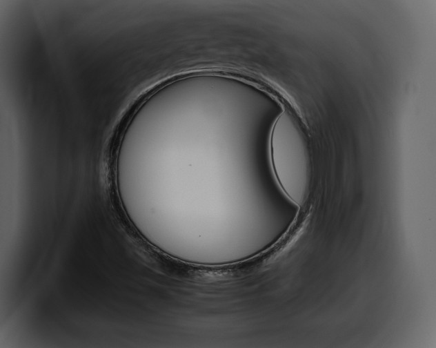 X0000099571501200805160715
