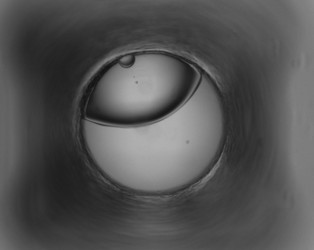 X0000099571502200805160715