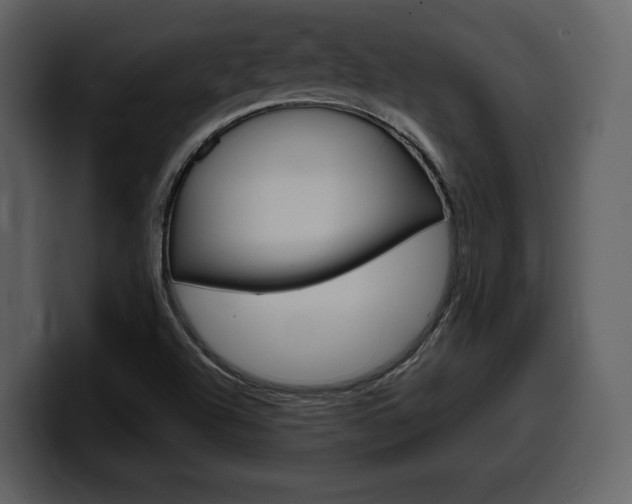 X0000099571504200805160715