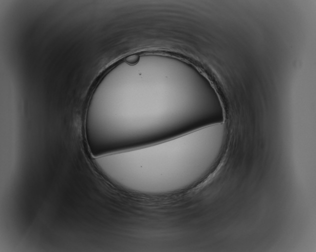 X0000099571505200805160715