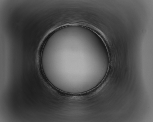 X0000099571506200805160715