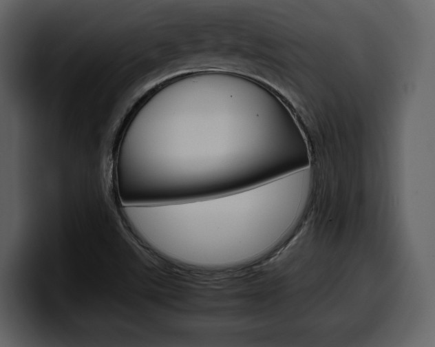 X0000099571507200805160715