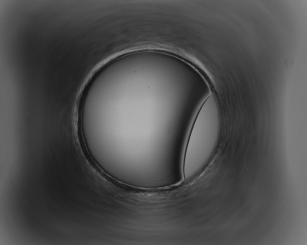 X0000099571508200805160715