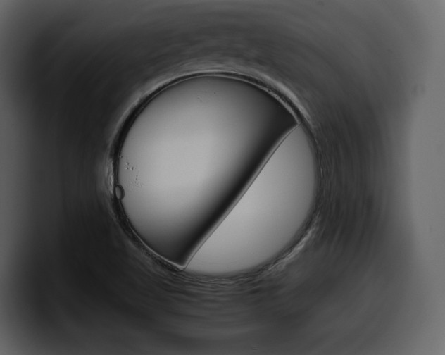 X0000099571509200805160715
