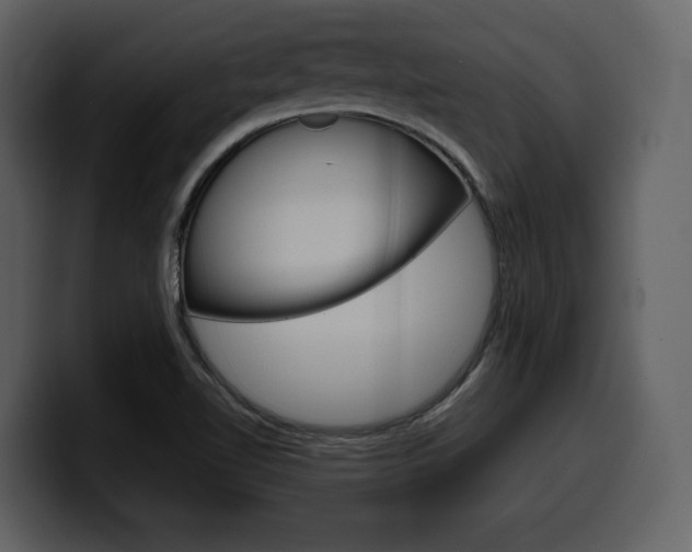 X0000099571510200805160715