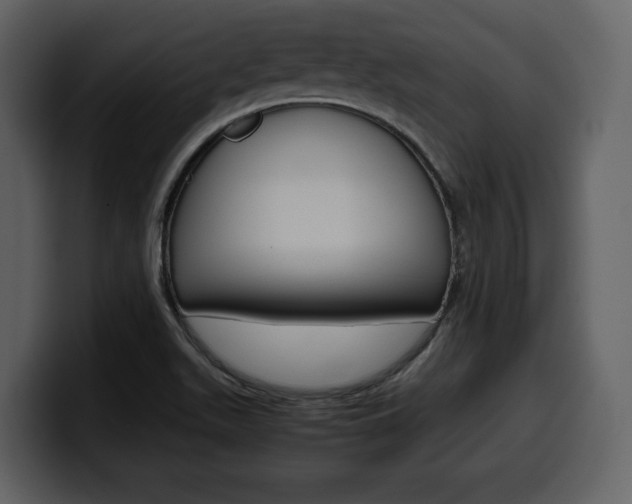 X0000099571511200805160715