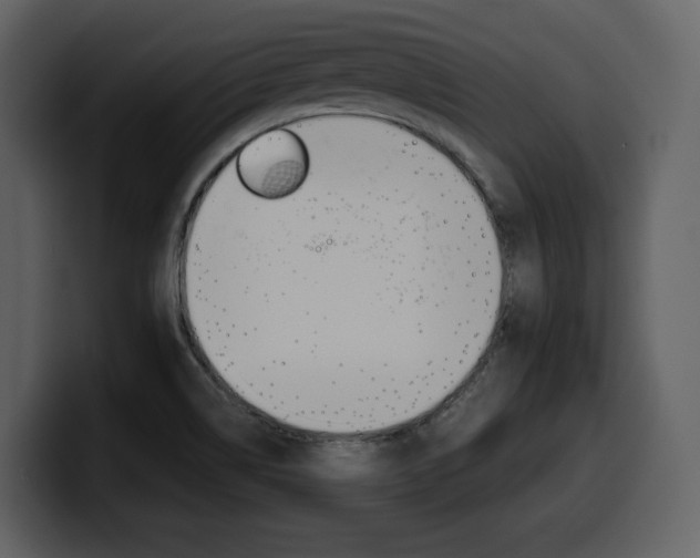 X0000099571514200805160715