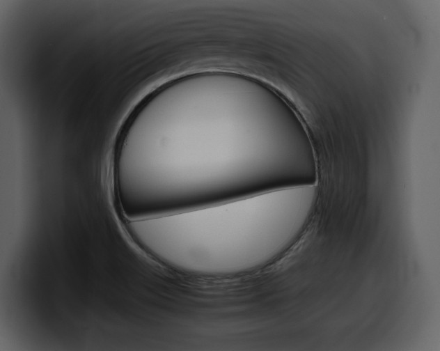 X0000099571515200805160715