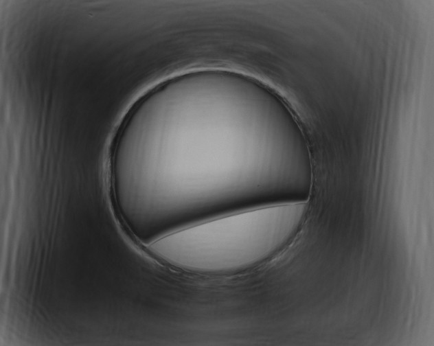 X0000099571519200805160715
