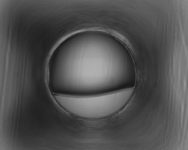 X0000099571520200805160715