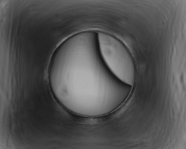 X0000099571521200805160715