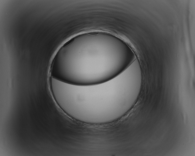X0000099571524200805160715