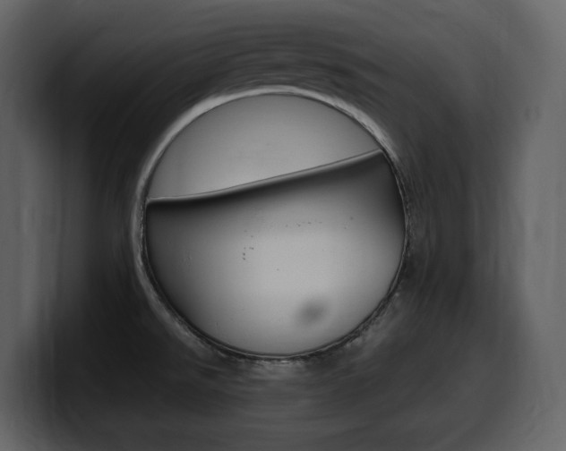 X0000099571526200805160716