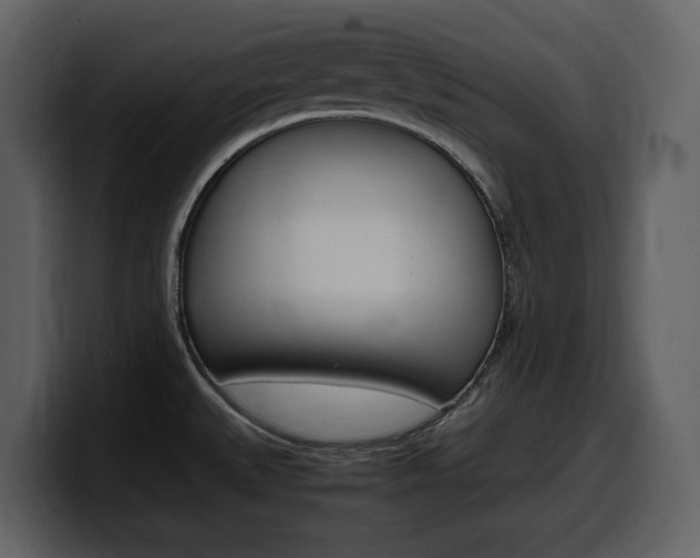 X0000099571527200805160716