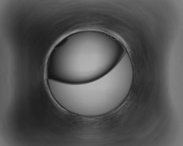 X0000099571528200805160716