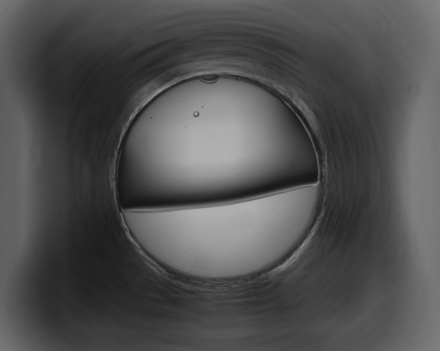 X0000099571529200805160716
