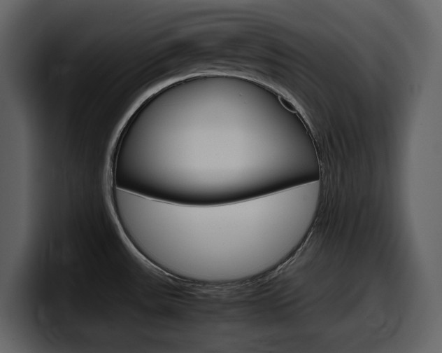 X0000099571531200805160716