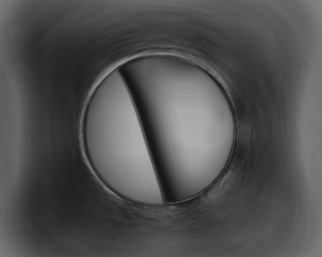 X0000099571533200805160716